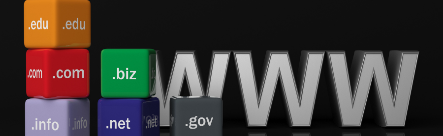 domain name